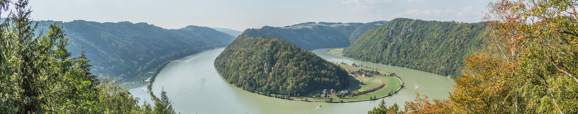 Der malerische Ausblick auf die Schlögener Schlinge zeigt die Donau, wie sie sich kraftvoll durch die steilen Felsen windet. Dieses Naturschauspiel in Oberösterreich fasziniert mit seiner einzigartigen Landschaft und zieht Besucher mit seiner beeindruckenden Aussicht und Ruhe in den Bann.